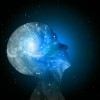cosmic consciousness